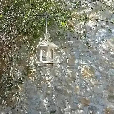 ő S Z A P ó Casa de Férias Vorosto